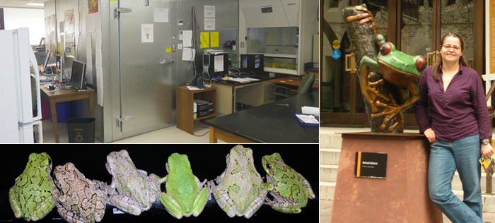 The Höbel Lab